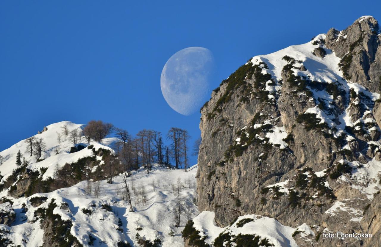 Apartament Mountain Charm Kranjska Gora Zewnętrze zdjęcie