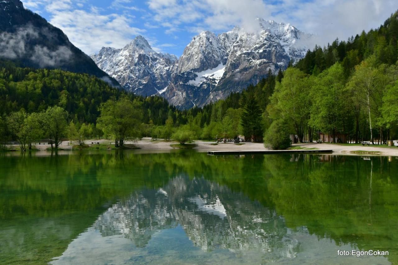 Apartament Mountain Charm Kranjska Gora Zewnętrze zdjęcie
