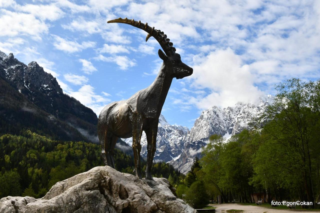 Apartament Mountain Charm Kranjska Gora Zewnętrze zdjęcie